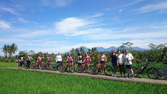 Half-Day Ubud Electric Cycling Tour to Tirta Empul Water Temple