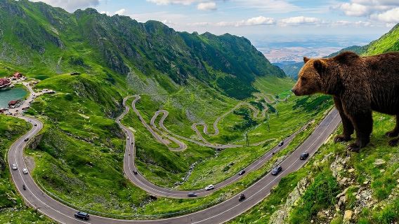 Small-group max 7 pax, with Pick-up, Top Gear Road Transfăgărăşan