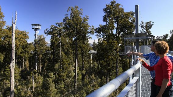 West Coast Treetop Walk