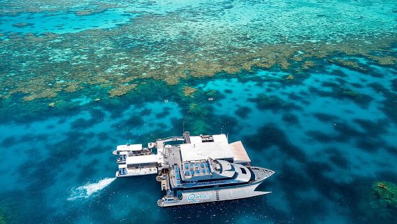 Quicksilver Great Barrier Reef Snorkel Cruise from Port Douglas