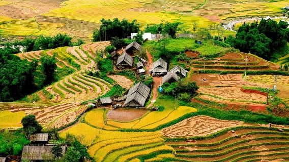 Desde Sapa: Excursión de un día a los campos de arroz en terrazas y al pueblo local.