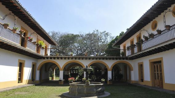 Coatepec and Xico Magical Towns Plus Xalapa Day Trip from Veracruz