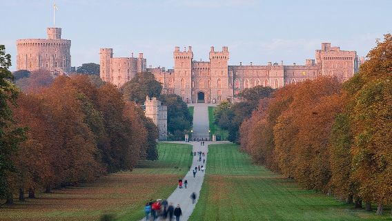 WindsorTours