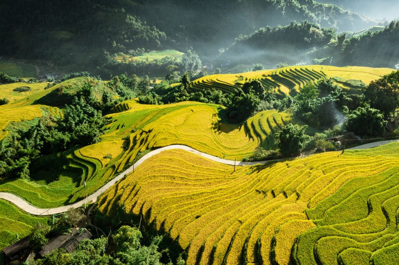 Vietnam Sapa 1 Day Tour [Sapa-Y Linh Ho-Lao Chai-Ta Van]