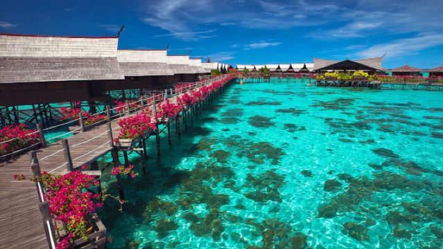 可選升級海釣+浮潛/上島卡帕萊*仙本那馬布島+卡帕萊島一日遊
