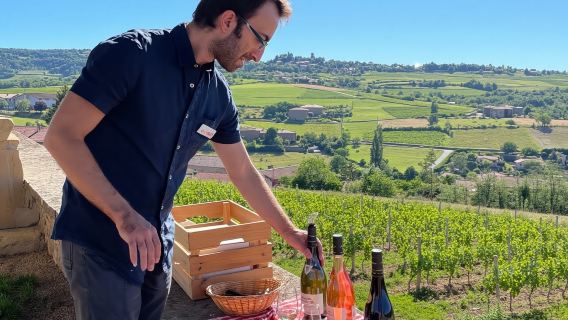 Private half-day tour to Golden Stone Beaujolais with tastings