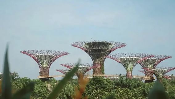 SingaporeTours