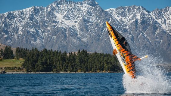 皇后鎮鯊魚快艇15分鐘體驗