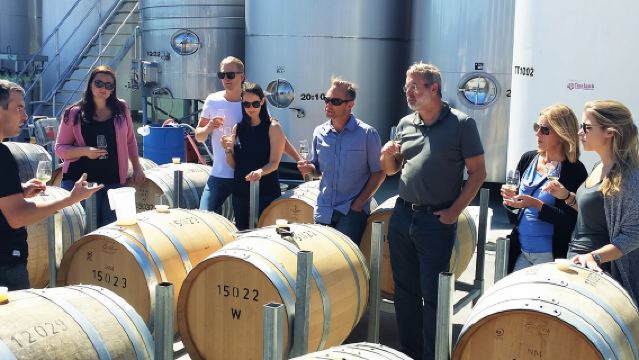 Full Day Winemakers Tour in Marlborough