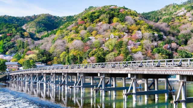 大阪・京都発 京都のおすすめポイント1日ツアー