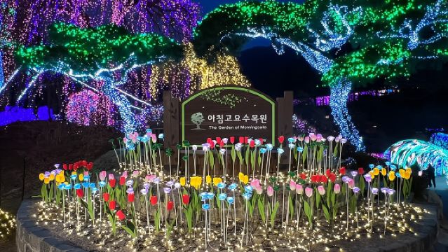 Лучшее в Корее место для отдыха: остров Нами и Сад утреннего спокойствия (поездка из Сеула).