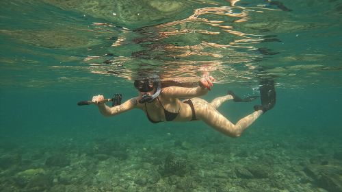 Snorkeling with turtles in Fujairah with BBQ lunch 4