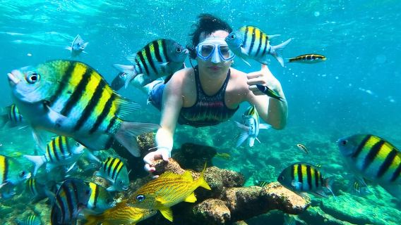 Boat Tour to the Rosario Islands with Lunch, Forts, & Snorkeling