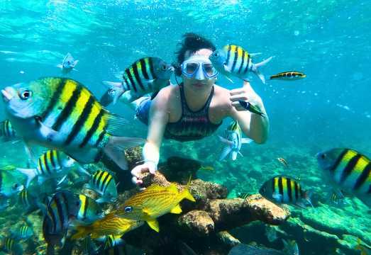 5 Stop Boat Tour Rosario Islands with Lunch, Forts, & Snorkeling