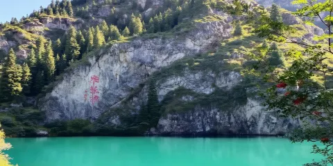 天山天池+新疆古生態園汗血馬基地一日遊【精品包車遊】