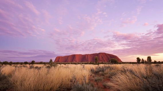 Uluru: Tour zu den heiligen Stätten + Sekt bei Sonnenuntergang & BBQ-Dinner
