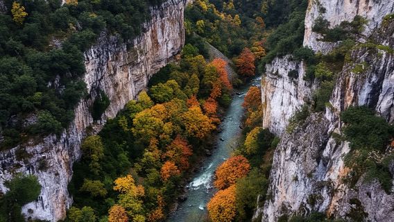 Excursión de DÍA COMPLETO: Selva de Irati y Ochagavía