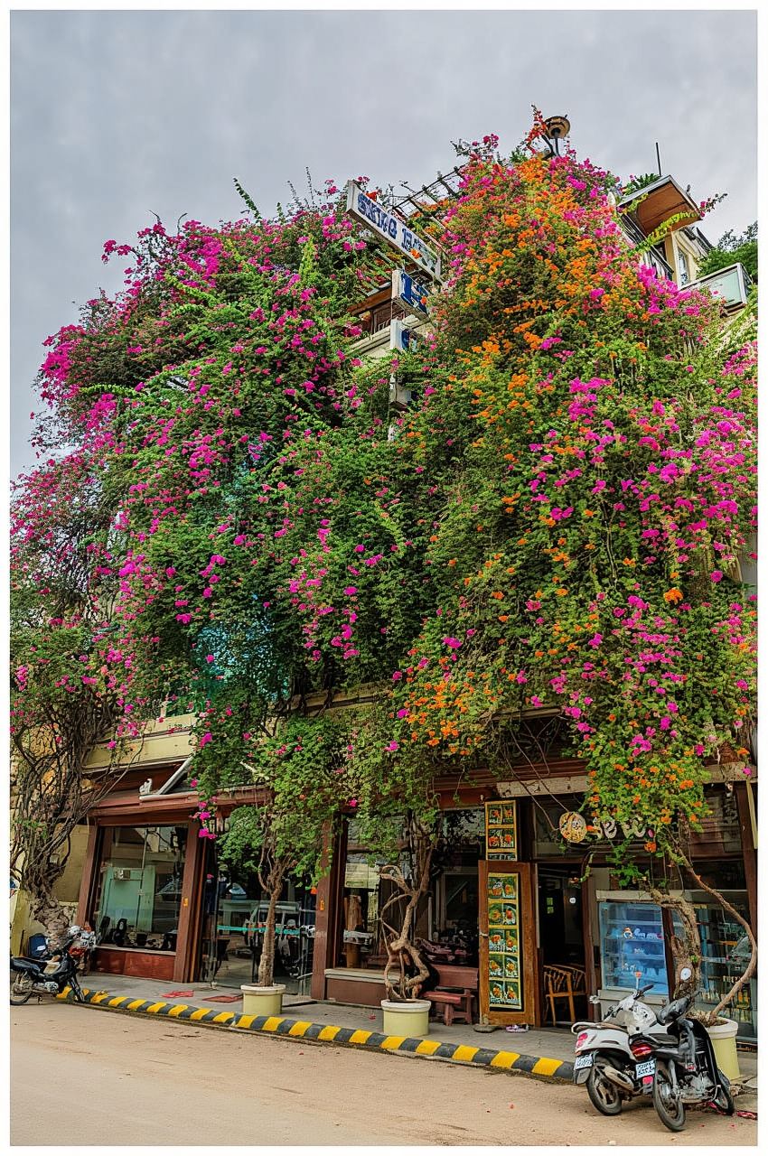 From Siem Reap to Battambang Day Trip