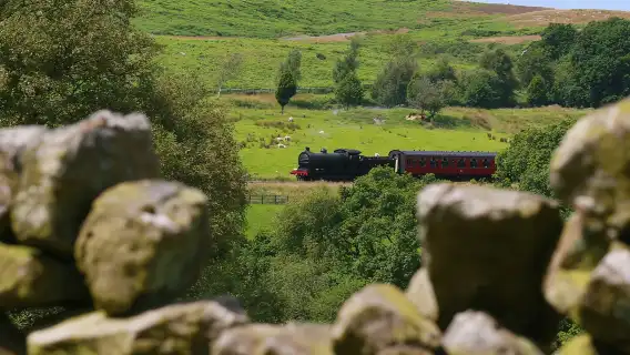 From York: North Moors and Whitby Tour