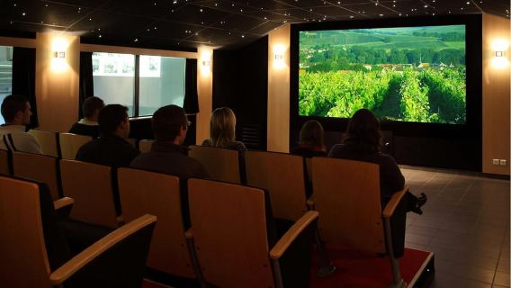 Meunier Champagne Experience tour - Passy-Grigny