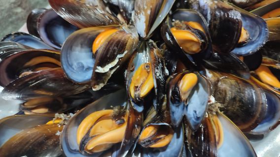 Ría de Arousa: Paseo en barco a la mejillonera con degustación