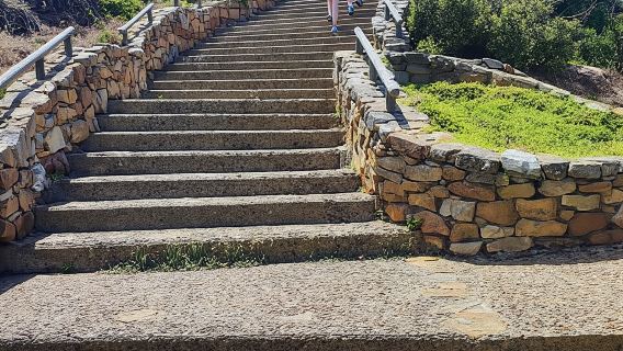 Cape of Good Hope and Boulders Beach Private Tour