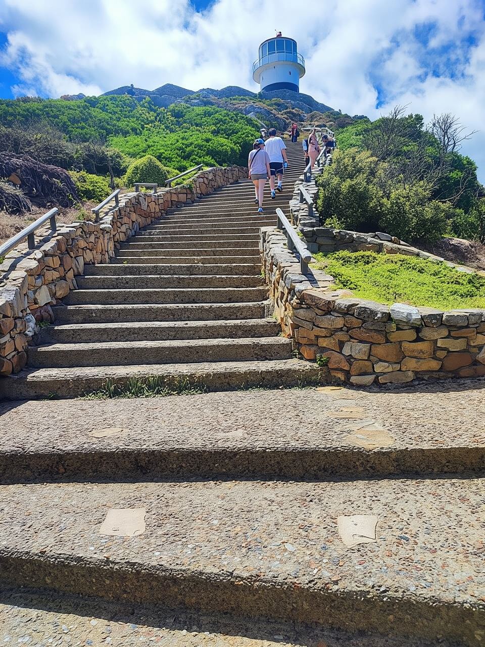 ทัวร์ส่วนตัวแหลมกู๊ดโฮปและหาดโบลเดอร์ส
