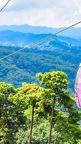 普洱茶馬古道旅遊景區+小凹子咖啡莊園一日遊【私家獨立團】