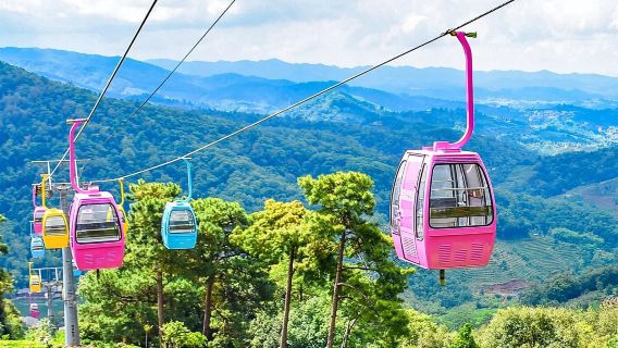 普洱茶馬古道遺址公園+小凹子咖啡莊園一日遊【私人獨立團】