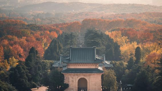 總統府+中山陵+梧桐大道+美齡宮半日遊丨含入場門票+導遊講解