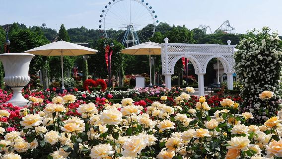 Biglietto per il bus navetta andata e ritorno tra Seul e Everland in Corea del Sud