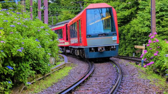 Tokyo|Owakudani + Yumoto Hot Springs + Gora Park + Hakone Tozan Railway join-in tour