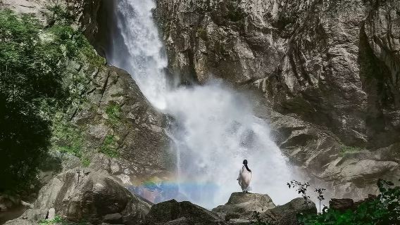 洛陽白雲山1日遊【洛陽起止、天天發車、成人價含景交費用】