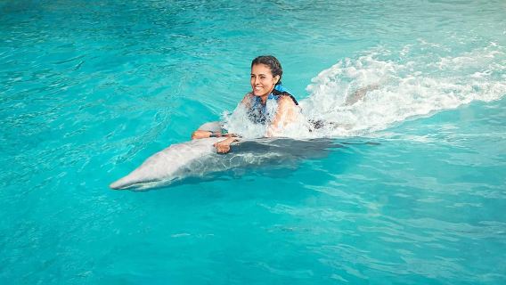 Swim Adventure at Isla Mujeres