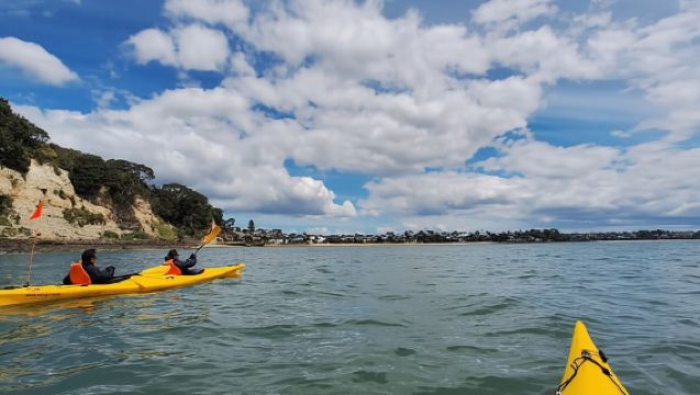 Auckland: Browns Island (Motukorea) Sea Kayak Tour