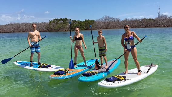 Explore the Mangrove Creeks with an ALL Day Tandem Kayak Rental