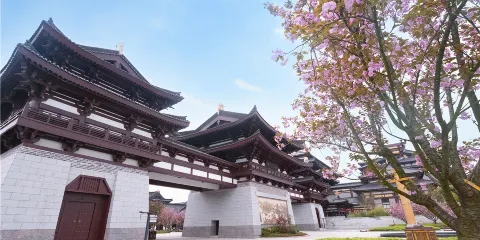 湖南銅官窯+靖港古鎮一日遊【純玩包車+上門接送+車型自選】