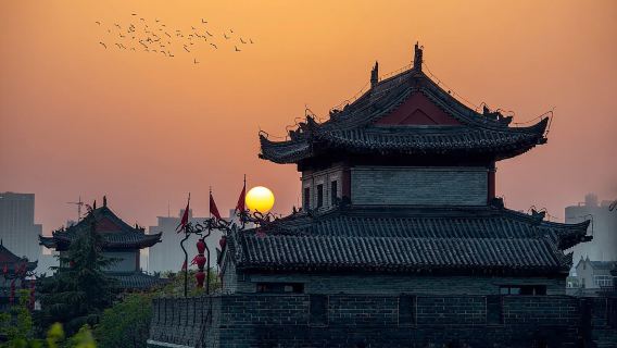 Xi'an Stadtmauer + Der längste Tag in Chang'an + Tagesausflug Schlafens aus der Tang-Dynastie [Reine Tour im Privattransfer]|Kein Einkaufen