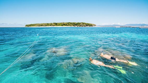 Snorkeling o barca con fondo di vetro a Green Island da Cairns