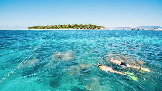 Snorkeling o barca con fondo di vetro a Green Island da Cairns