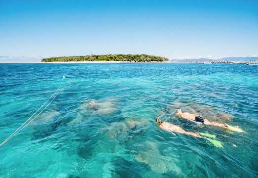 Snorkelling or Glass Bottom Boat at Green Island from Cairns AUD 124.42