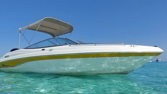 ¡PRIVADO! |Viaje en lancha rápida de 4 horas|Nadar con delfines, bucear y visitar la isla