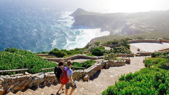 Cape Point and Boulder's Penguins Full Day Tour