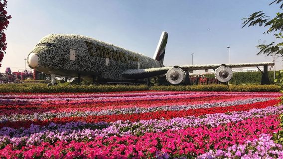 Visite libre du Dubai Miracle Garden avec billet et transfert
