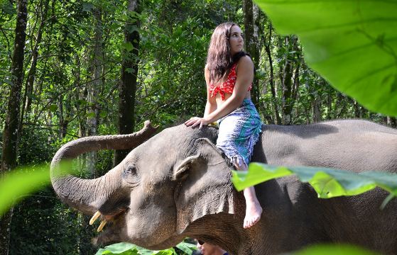 Tour giornaliero a Phuket con elefanti al campo con vista mare e ATV per fuoristrada|zipline
