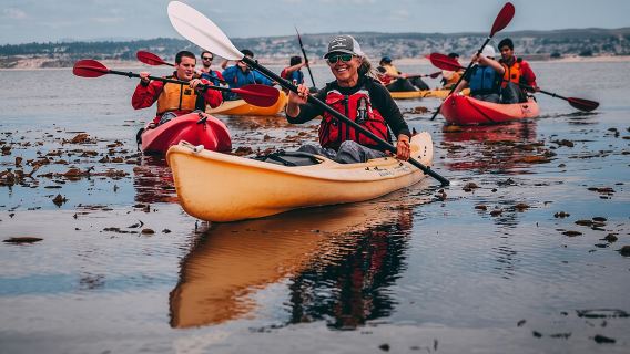 Monterey Bay Kayak Rental Two Hours: Otters, Seals and Sea Lions