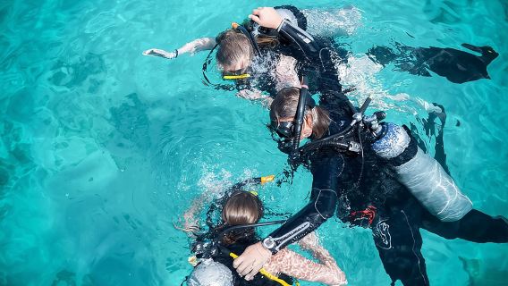 PADI Discover Scuba Dive at 5 Star Dive Center Blue Bay Dive, Curacao