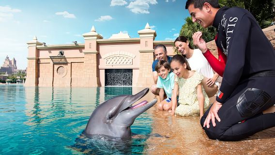 Dolphin meet and greet at Atlantis Dubai