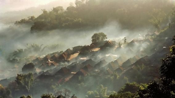【純玩私人導覽】普洱景邁山千千萬畝古茶園糯乾+翁基古寨一日遊