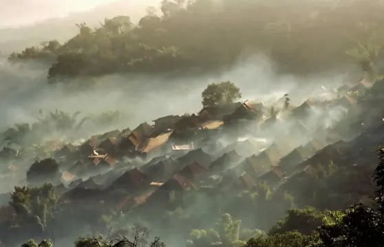 【純玩私家團】普洱景邁山千年萬畝古茶園糯干+翁基布朗族老寨一日遊